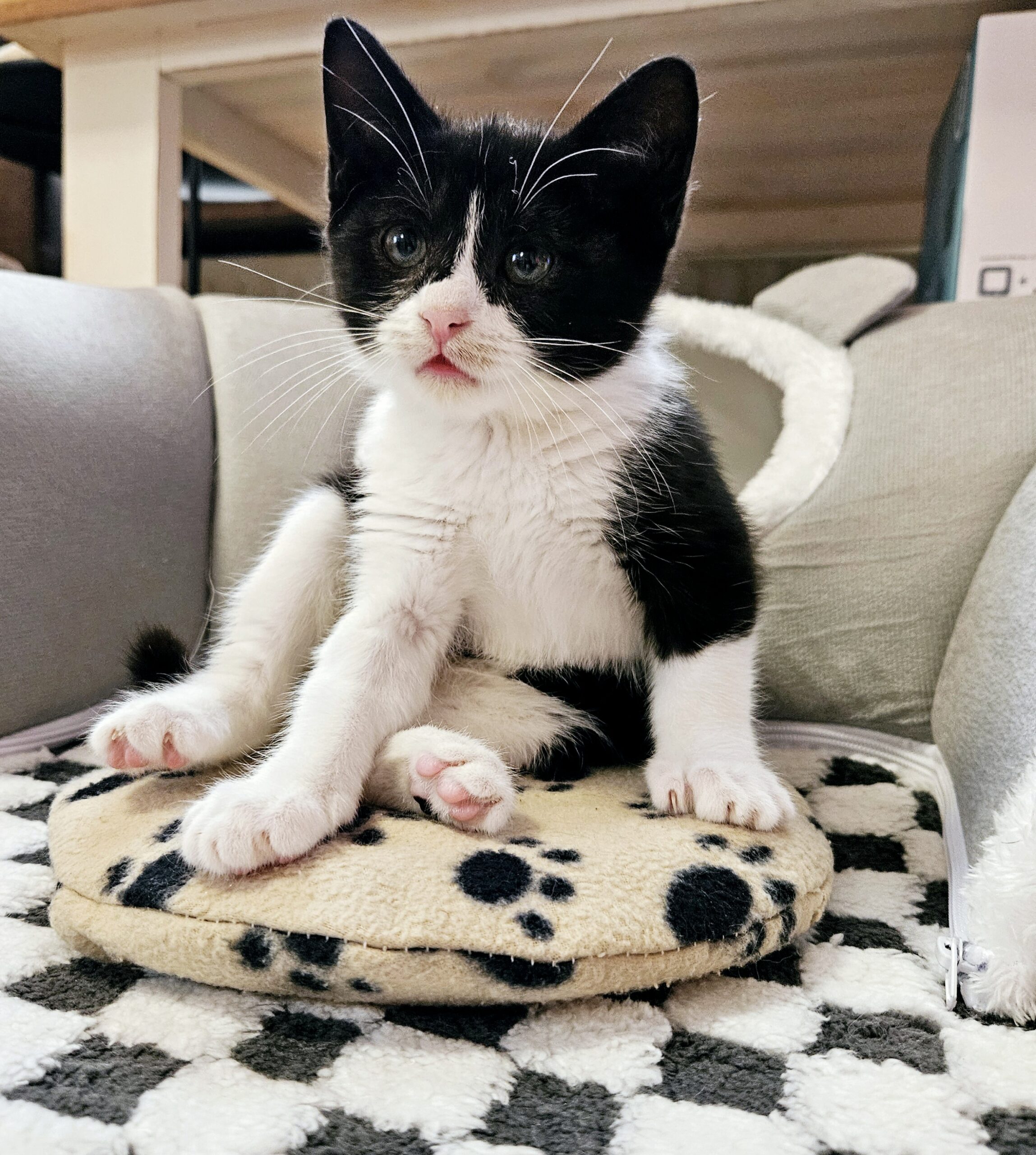 🌈Abschied von Shary