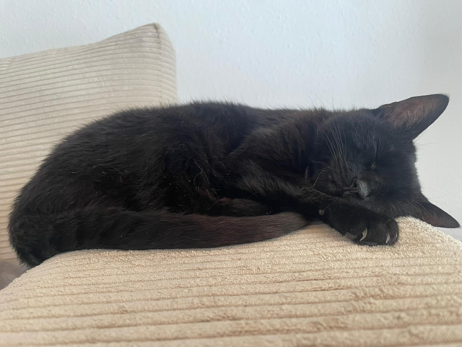 🌈Abschied von Zala